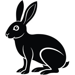 hare vector icon on white background