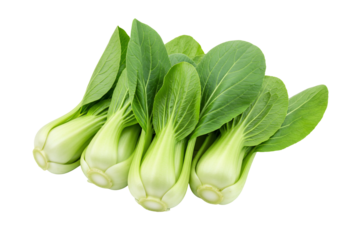 Bok choy vegetable fresh green chinese cabbage isolated still life