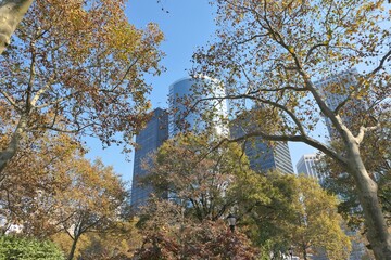 Battery Park and Lower Manhattan buildings in New York City.