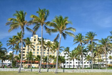 Lummus Park and Ocean Drive in Miami Beach, South Beach, Florida.