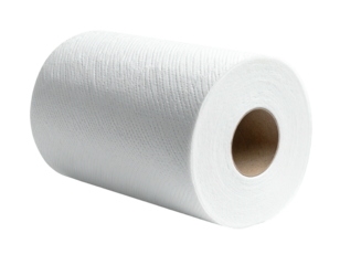 Rolled white paper towels (2)