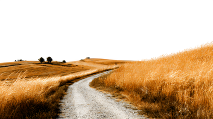 Rural dirt road through golden fields, isolated on transparent background