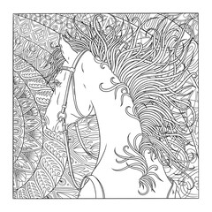 Equestrian coloring art page for adulsts. Fantasy horse in a bridle with flowing mane, set against a richly patterned background