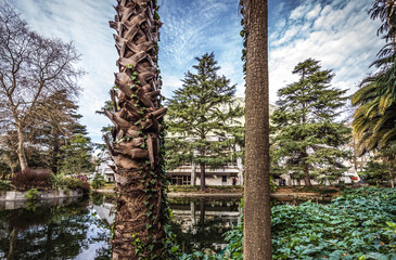 Fototapeta premium Palm trees and Rosa Mota Pavilion in Crystal Palace Gardens, park in Porto, Portugal