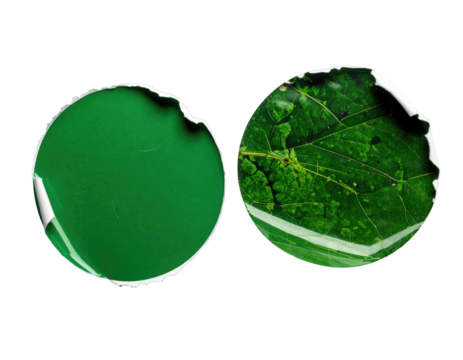 Two circular shapes, one solid vibrant green, the other displaying a detailed green leaf vein pattern, both within a torn-edged white frame