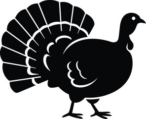 Black Silhouette of a Male Turkey with Fan Tail Displayed bird fowl