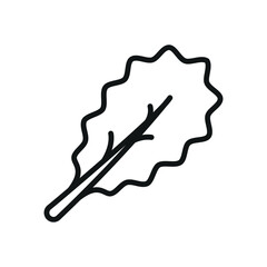 Kale icon in line style for healthy food, diet, and organic lifestyle visuals.