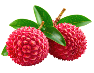 Two vibrant pink lychees, studded with tiny points, rest atop green leaves on a black background
