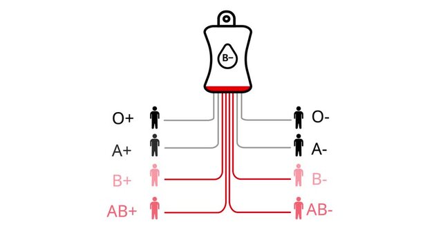 Blood type compatibility chart with B negative blood bag and compatible recipient icons Keywords: blood type, compatibility, chart, diagram, medical, healthcare, science, donation, transfusion, B