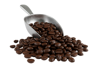Metal scoop filled with roasted coffee beans isolated on transparent background