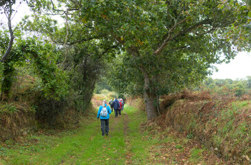 Obraz premium Groupe de randonneurs sur un sentier en Bretagne - France