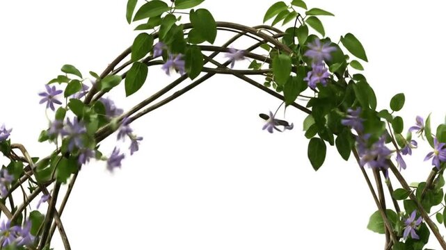 Floral arbor frame with purple flowers on white background for designs