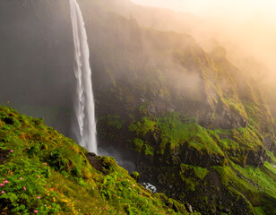 A powerful waterfall cascades down a mossy cliff in a lush, green, tropical jungle, with golden sunlight shining through. Generative AI