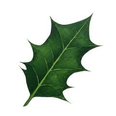 Fototapeta premium Detailed close-up of a vibrant green leaf against a white background isolated on white background