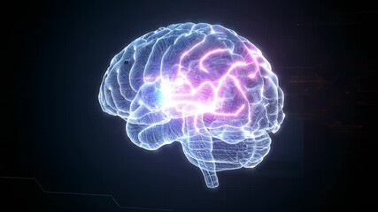 Appearing wireframe brain pulsating neural nets rotating in void, illustrating neural connectivity - Powered by Adobe