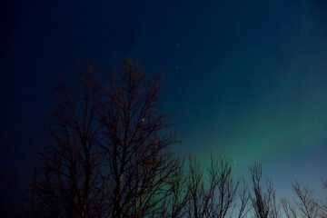 Aurora borealis, polar lights with Milky Way stars.