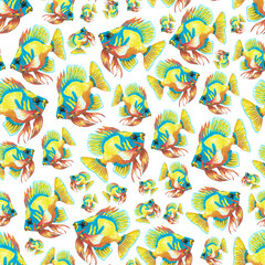 seamless pattern of yellow blue fish illustration, hand drawn with colored pencils
