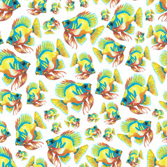 seamless pattern of yellow blue fish illustration, hand drawn with colored pencils