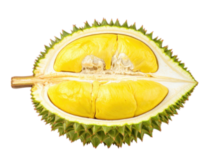 Durian fruit half, yellow flesh, green husk