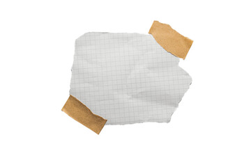 Torn piece of school notebook in a cage with beige tape isolated on white background