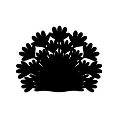 A Black silhouette of a plant bush or a tree with many leaves