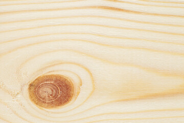 background surface of beautiful wooden board close-up with fibers, knot