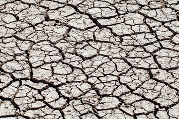 dried up cracked earth in absence of water