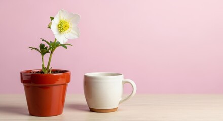 A white flower blooms in a red pot next to a white mug on a wooden table against a pink background