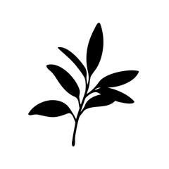 A silhouette drawing of a fresh, young plant stem with dark leaves