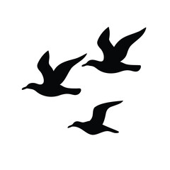 Silhouette of three seagulls soaring gracefully in the sky with wings spread