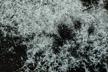 beautiful textured huge snowflakes or snow flakes on real ice of a frozen pond. Background.