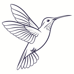 Elegant outline illustration of a hummingbird in flight with detailed wings and tail feathers against a clean white background