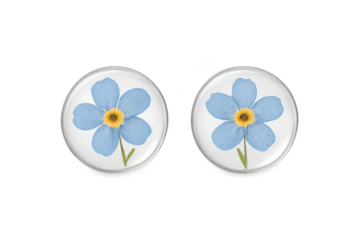 Two delicate forget-me-not flowers in circular settings, isolated on transparent background