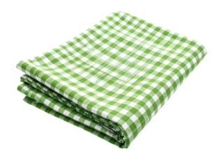 Folded green and white checkered tablecloth (9)