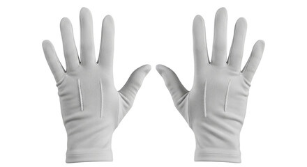Isolated pair of uniform dress gloves, formal white gloves, parade or usher gloves apparel