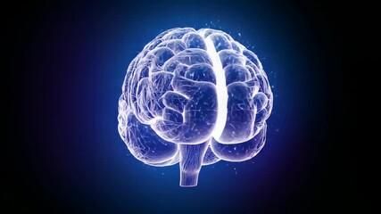 Starting luminous wireframe brain rotating in digital void, with glowing mesh and drifting sparks - Powered by Adobe