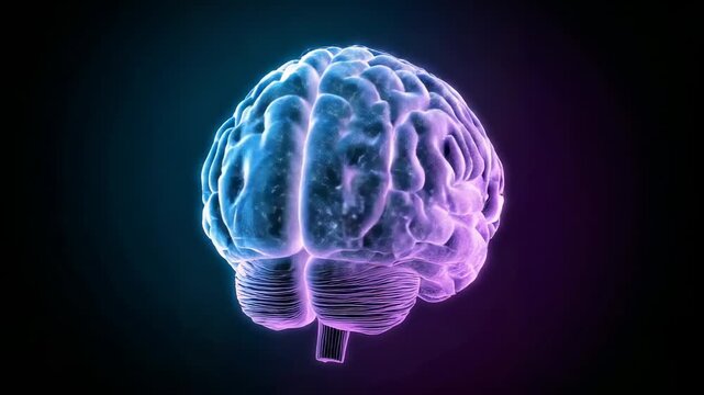 Glowing 3D brain model starting slow clockwise rotation in dark studio, showcasing particle effects