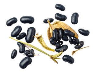 Scattered black beans and dried seed pods