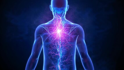 Initiating magenta chest glow figure intensifying skull, spine, neural fiber in void pulsing light - Powered by Adobe