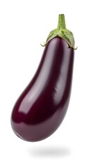flying Eggplant with shiny skin