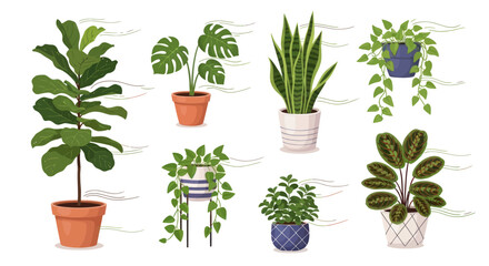 Diverse Potted Green Houseplants Collection in Various Decorative Containers.