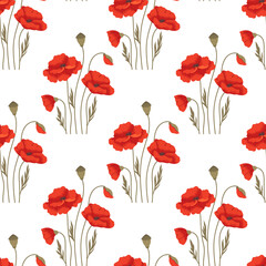 Seamless floral pattern with red poppies on white background. Vector fabric swatch with wildflowers