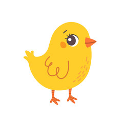 Cute cartoon chicken on white background. Flat baby illustration of farm animal. Vector yellow chick isolated