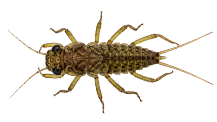 3d rendered under construction sign with safety cones and barriers isolated on transparent background