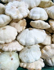 Close-up of white pattypan squash - patisson, unique scalloped shape and delicate texture. Autumn...