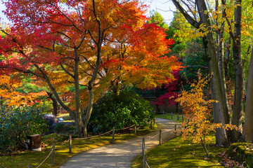 日本の風景・秋　兵庫県姫路市　紅葉の好古園