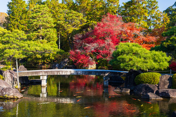 日本の風景・秋　兵庫県姫路市　紅葉の好古園