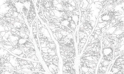 seamless pattern with trees. Background of black and white texture. Abstract monochrome pattern of spots, cracks, dots, chips, scratch.