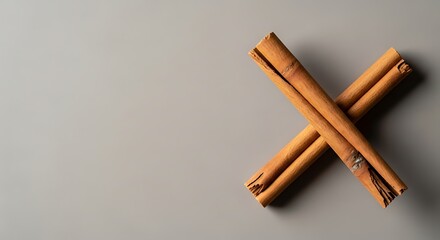 Two cinnamon sticks crossed on a neutral gray background
