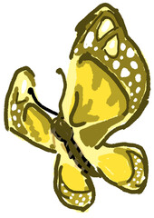 나비(어둡노랑)